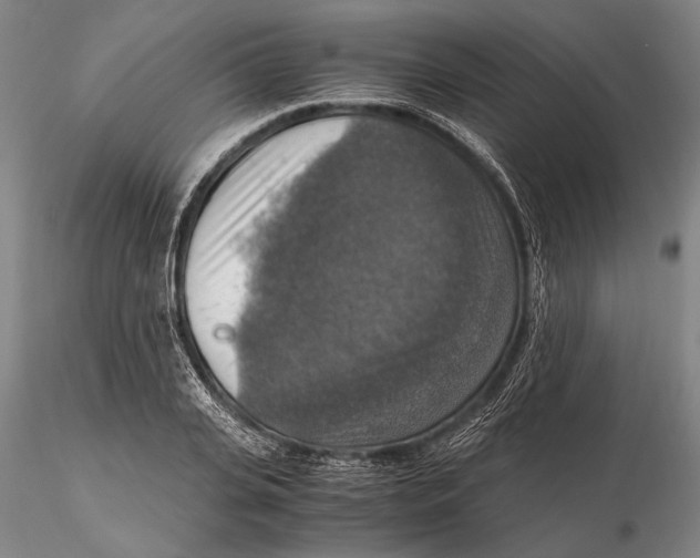 X0000115390935200912011225