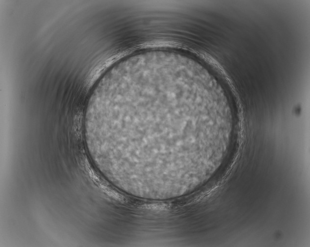 X0000115390937200912011225