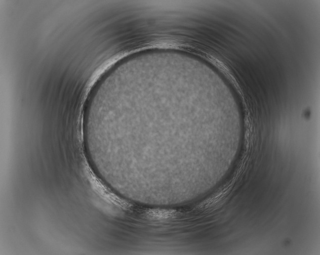 X0000115390939200912011225