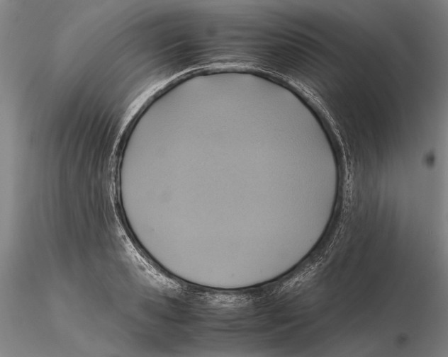 X0000115390941200912011225