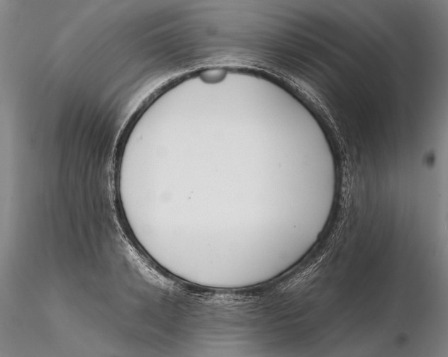 X0000115390942200912011225