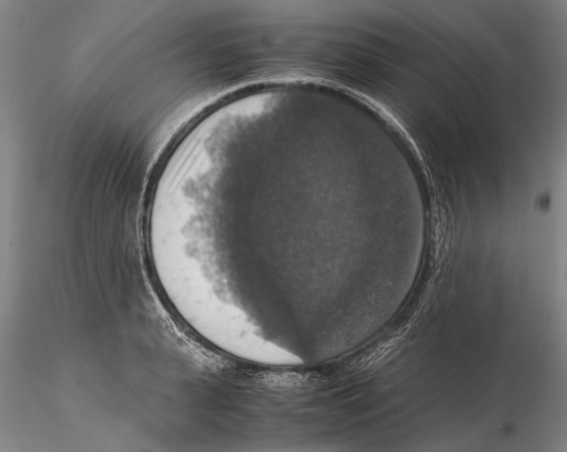 X0000115390943200912011225