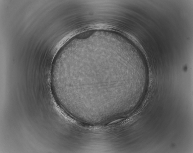 X0000115390946200912011225