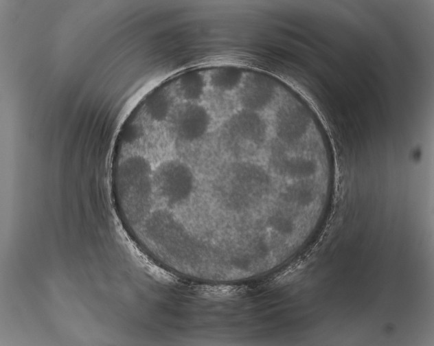 X0000115390949200912011225