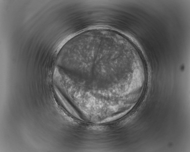 X0000115390953200912011225