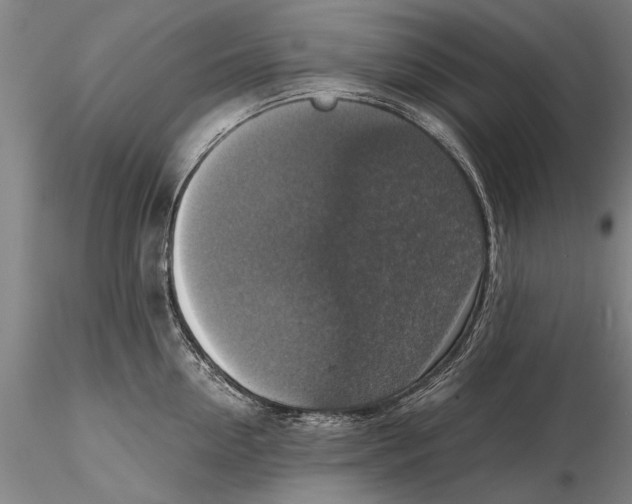 X0000115390954200912011225