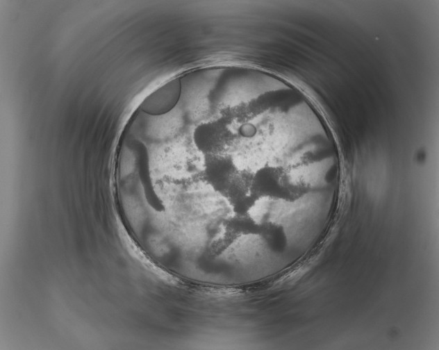 X0000115390957200912011225