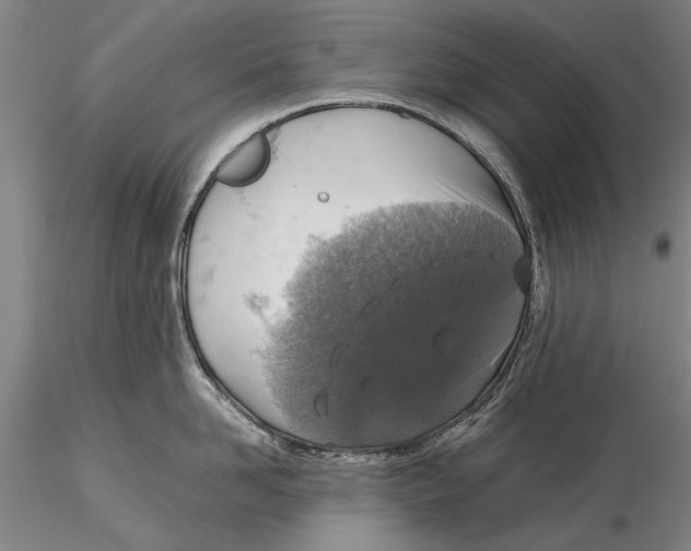 X0000115390958200912011225