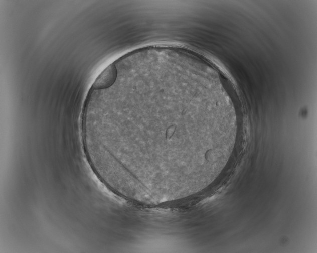 X0000115390959200912011225