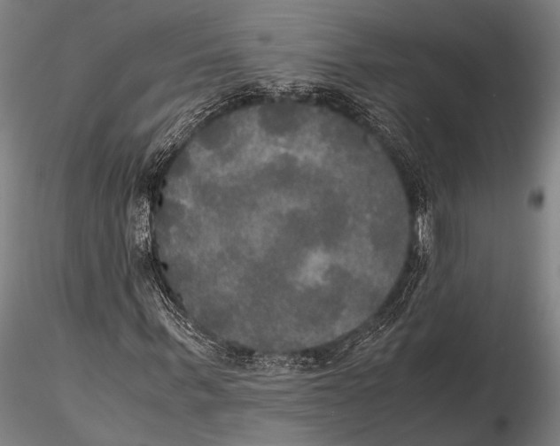 X0000115390963200912011225