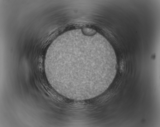 X0000115390964200912011225