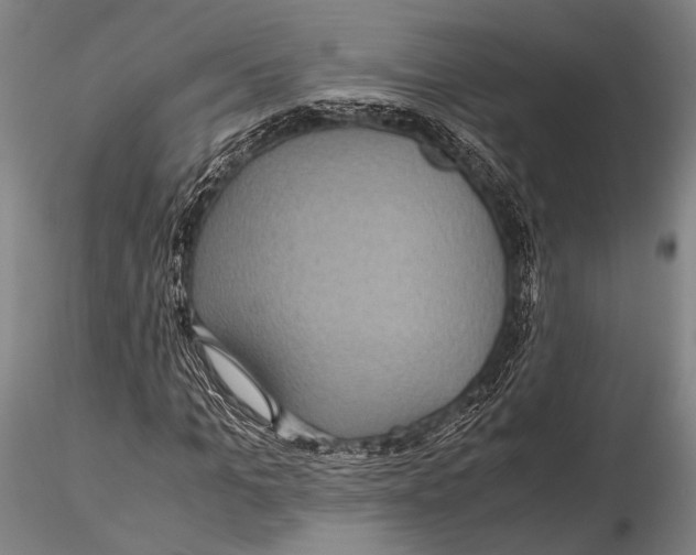 X0000115390965200912011225