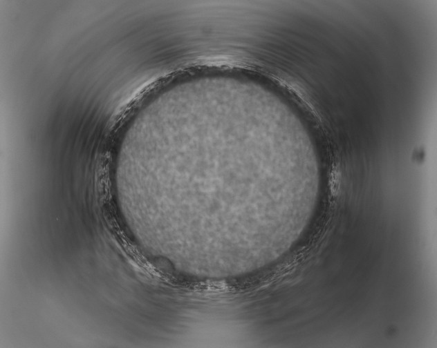 X0000115390968200912011225