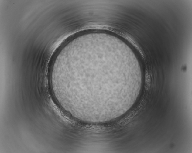 X0000115390972200912011224