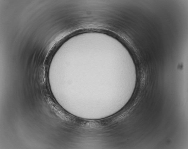 X0000115390974200912011224