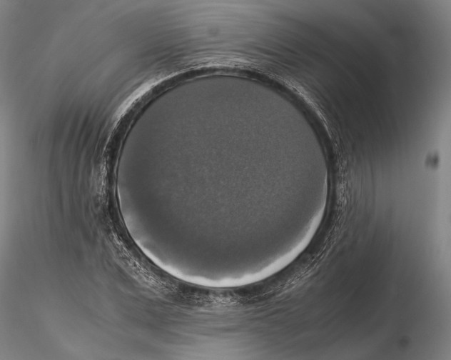 X0000115390975200912011224