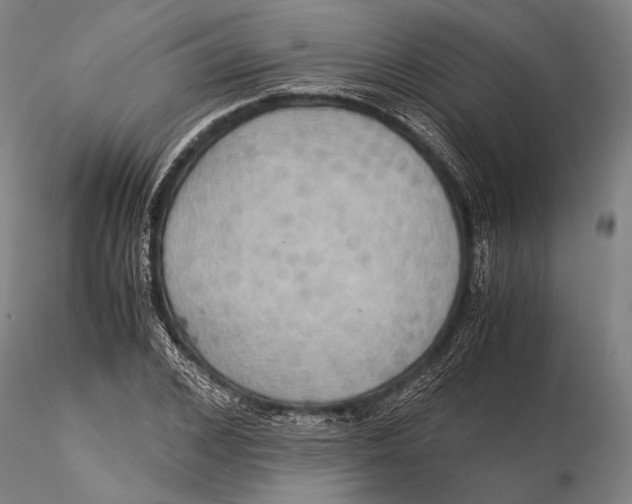 X0000115390976200912011224