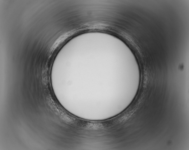 X0000115390978200912011224