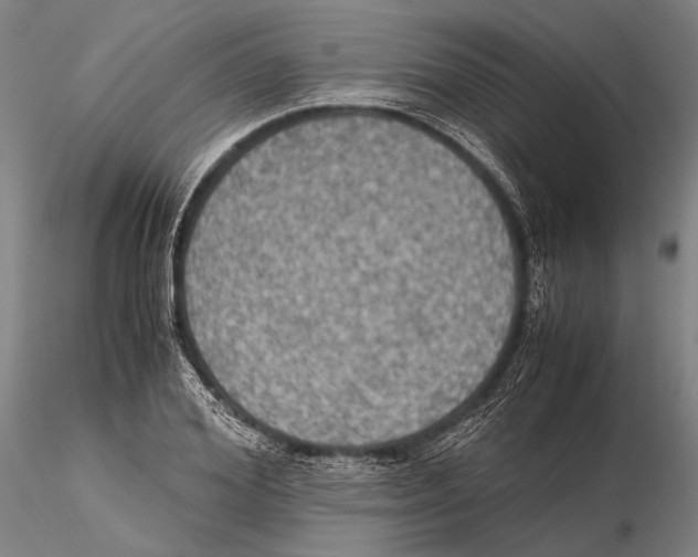 X0000115390980200912011224