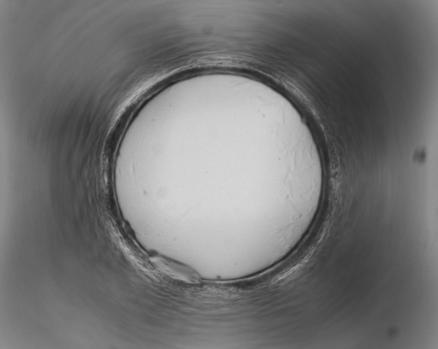 X0000115390981200912011224