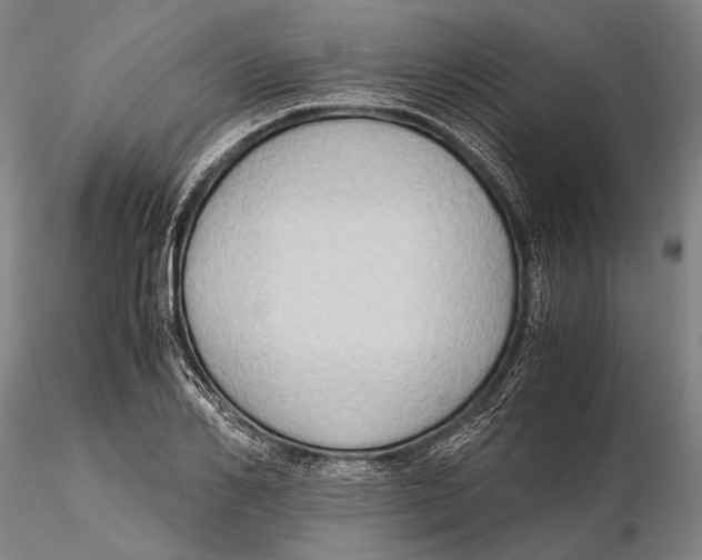 X0000115390982200912011224