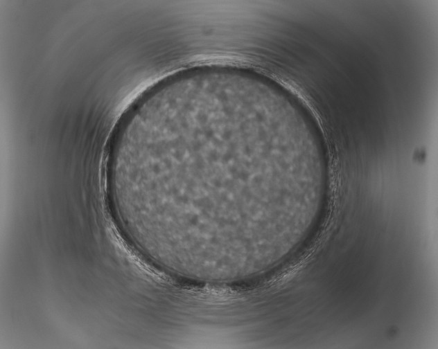 X0000115390983200912011224