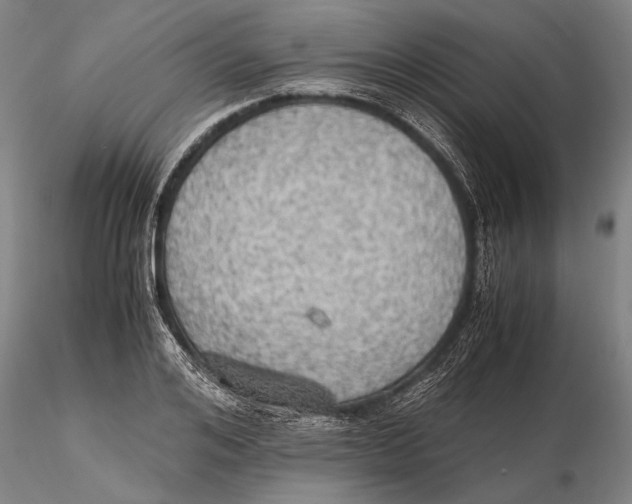 X0000115390984200912011224