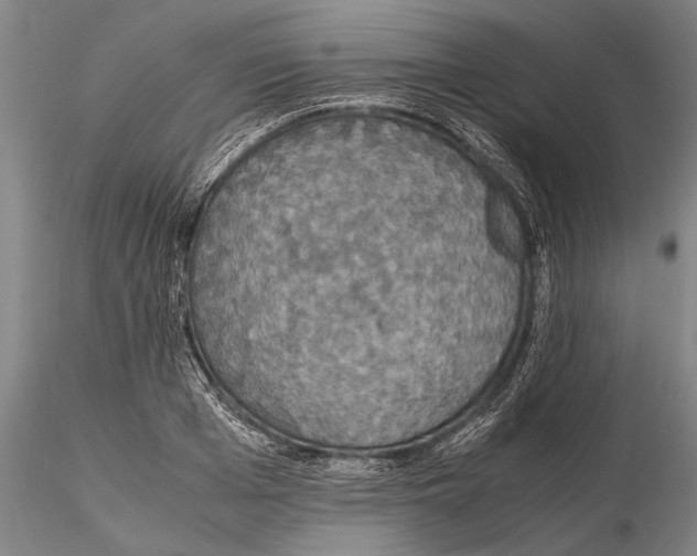 X0000115390985200912011224