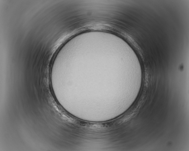 X0000115390986200912011224