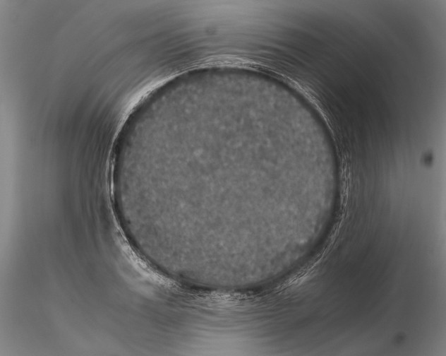 X0000115390987200912011224