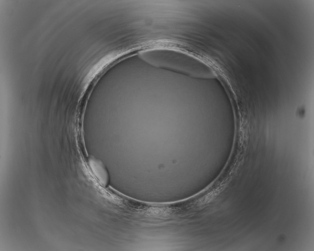 X0000115390989200912011224