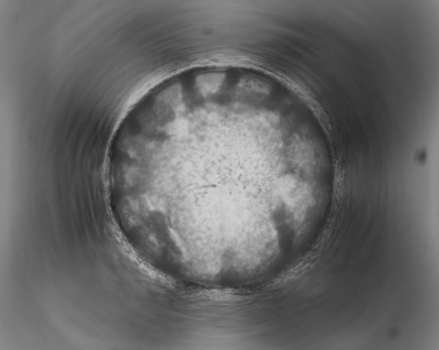 X0000115390990200912011224