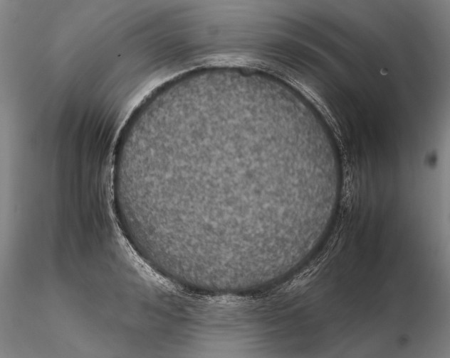 X0000115390992200912011224