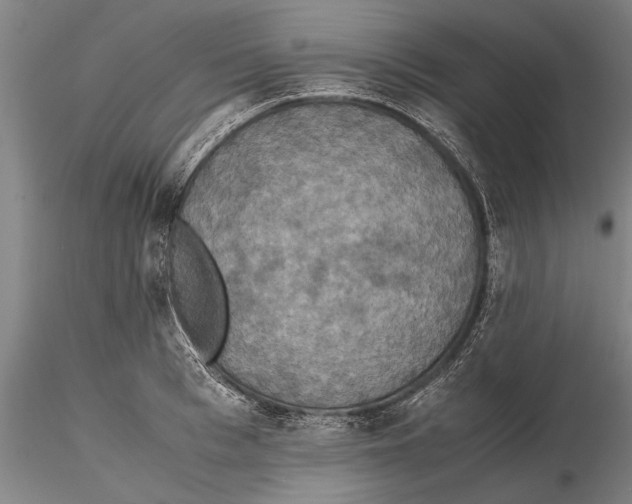 X0000115390993200912011224