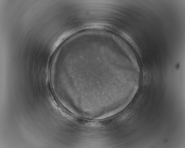 X0000115390994200912011224