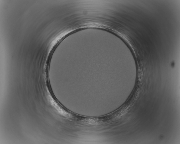 X0000115390995200912011224