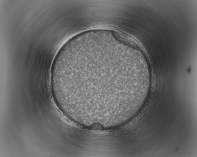 X0000115390996200912011224