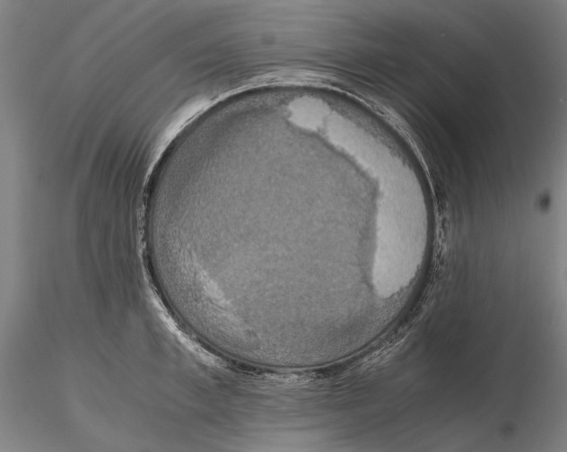 X0000115390997200912011224