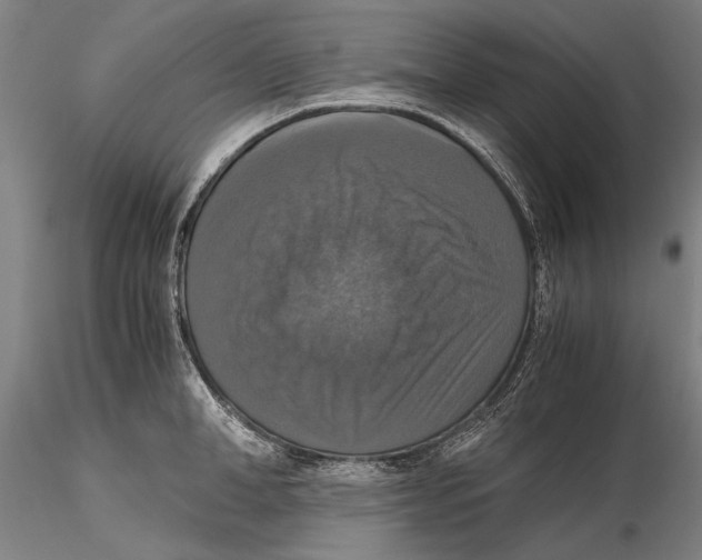 X0000115390998200912011224