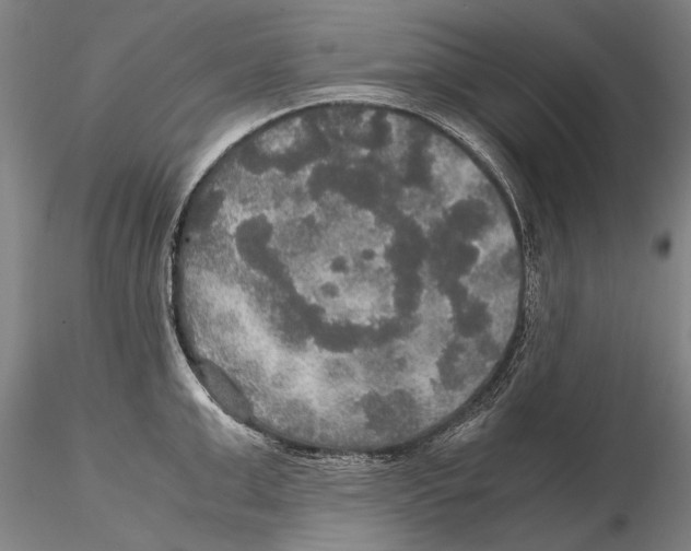 X0000115390999200912011224