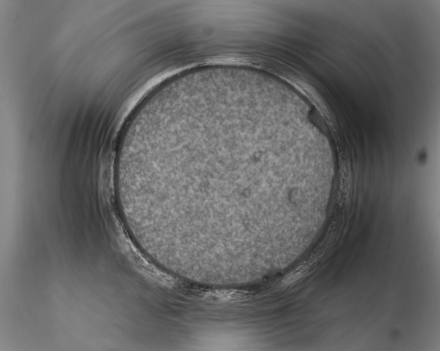 X0000115391000200912011224