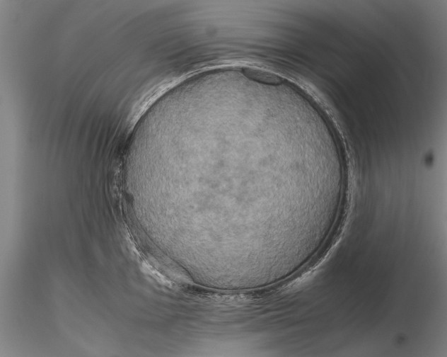 X0000115391001200912011224