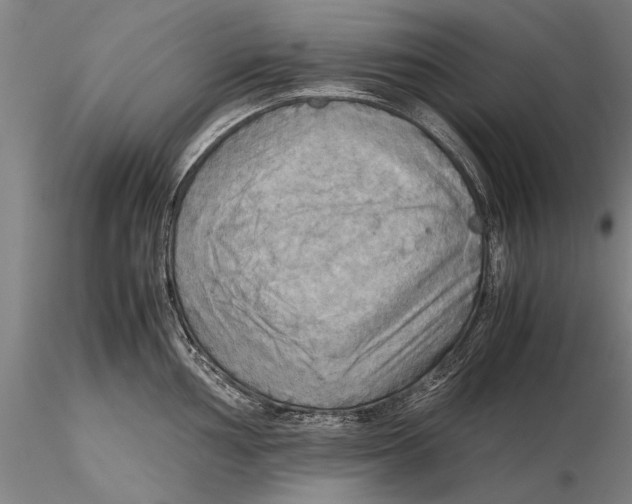 X0000115391002200912011224