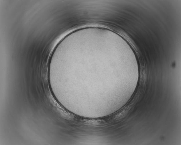 X0000115391004200912011224