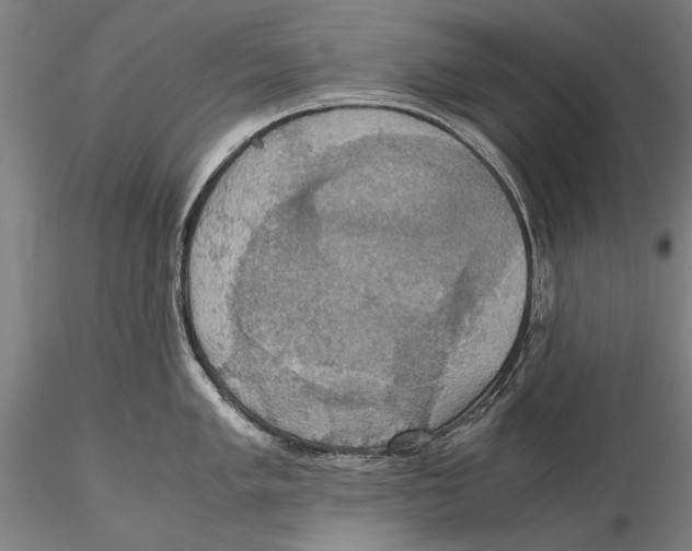 X0000115391005200912011224