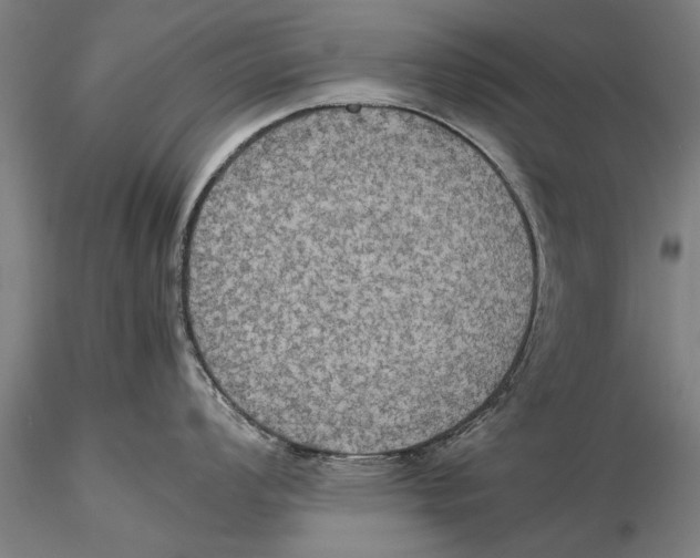 X0000115391008200912011224