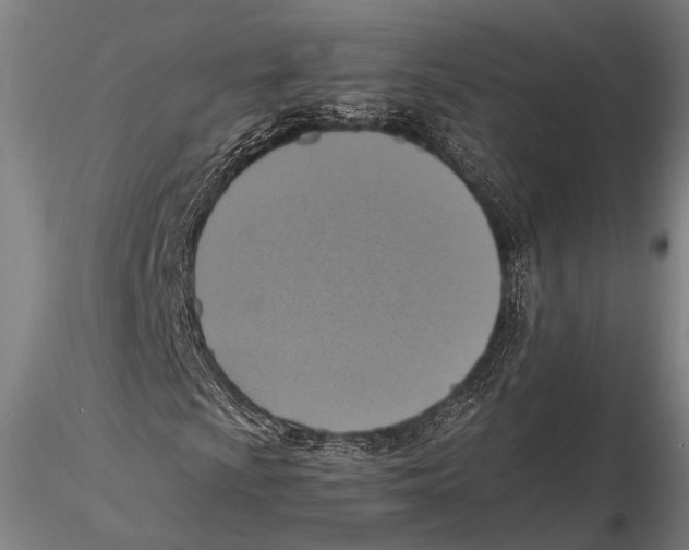 X0000115391009200912011223