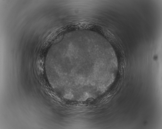 X0000115391010200912011223