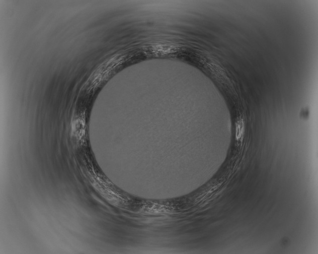 X0000115391011200912011223