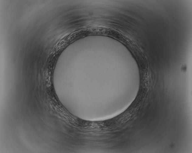 X0000115391013200912011223